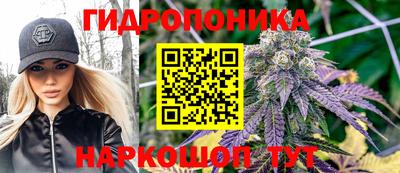 СК Краснознаменск