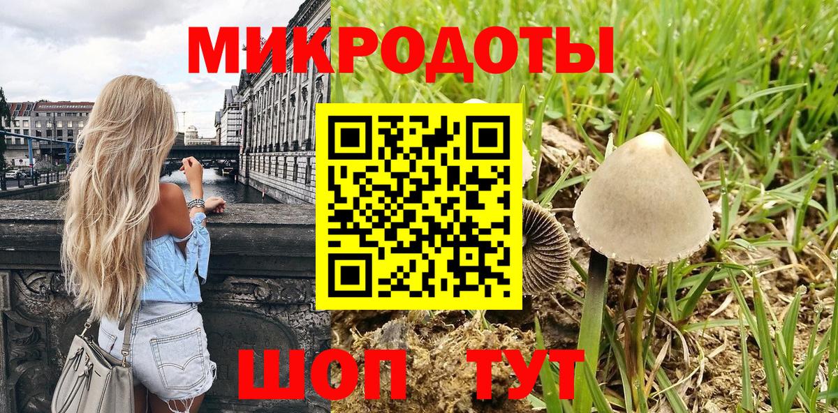 Псилоцибиновые грибы Psilocybine cubensis Казань