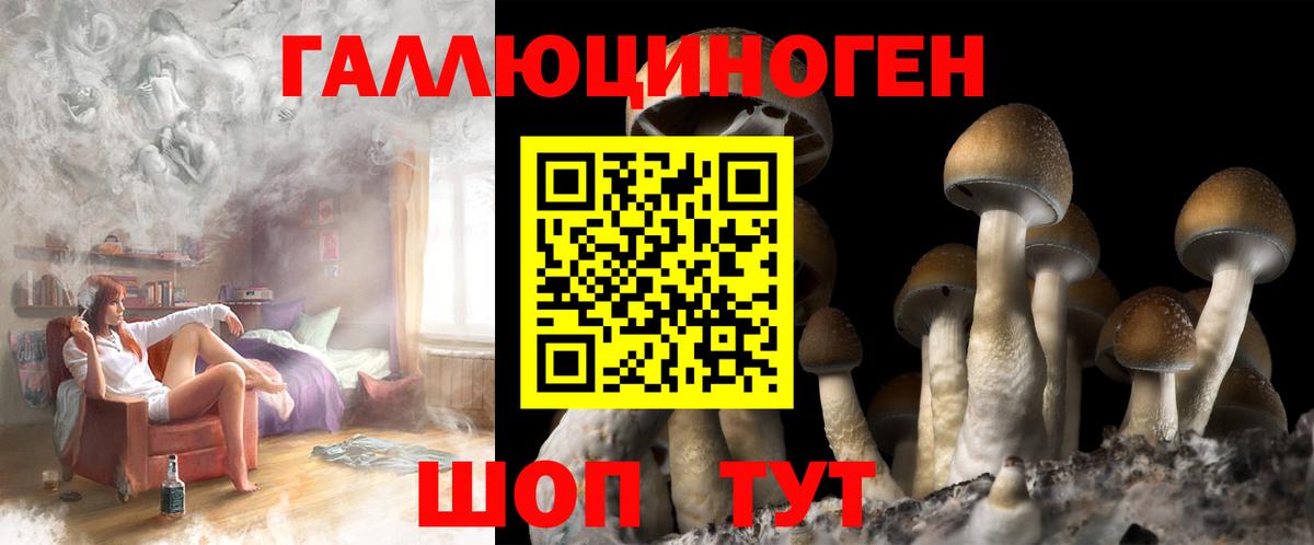 Казань  Галлюциногенные грибы Psilocybe  Вход с VPN  Псилоцибиновые грибы Cubensis 